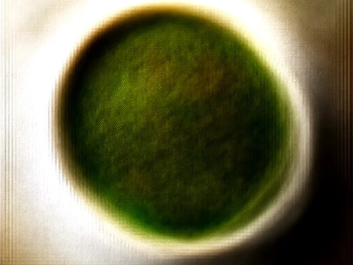 Homestyle Green Bean Potato Casserole Bake - Image 2