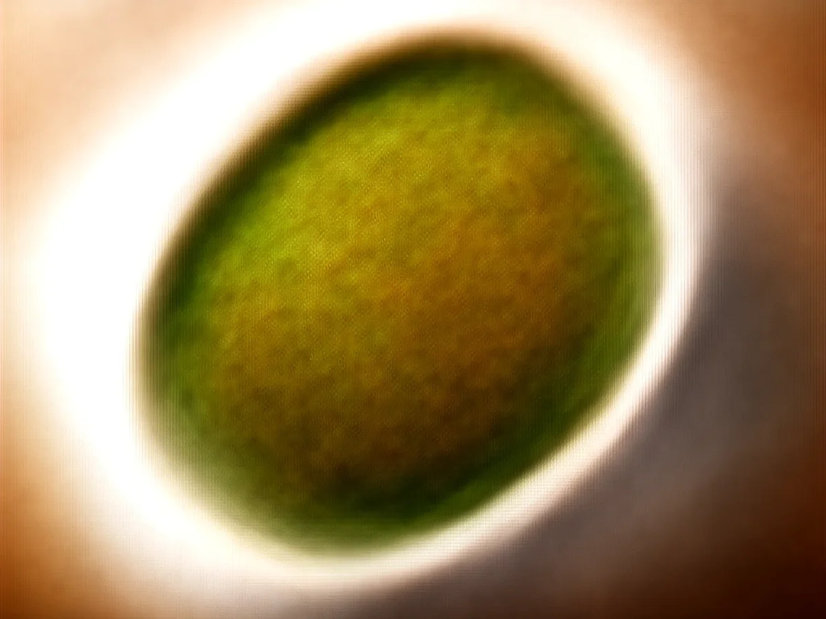 Homestyle Green Bean Potato Casserole Bake - Featured Image